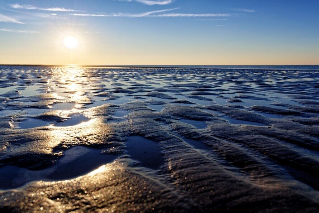 Photo of Others in Langeoog