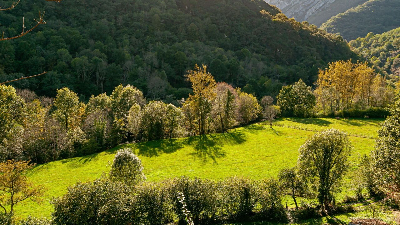 Photo of Others in Santovena
