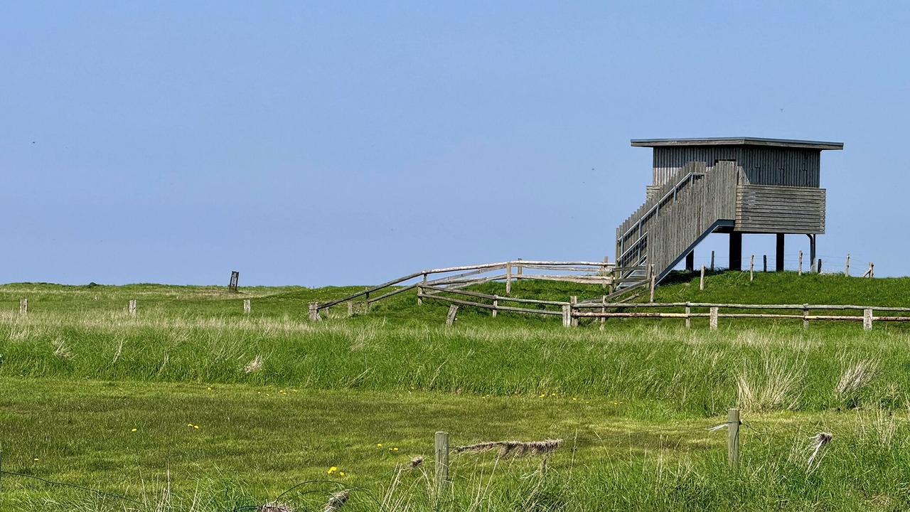 Photo of Others in Cappel-Neufeld