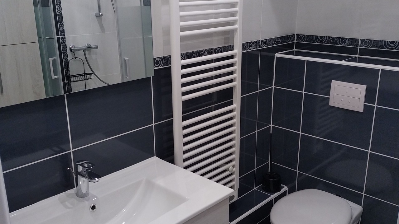 Photo of Bathroom in Saint-Lupicin