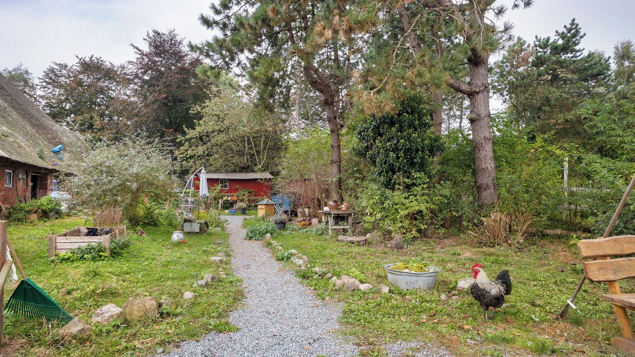 Photo of Outdoor in Barlt