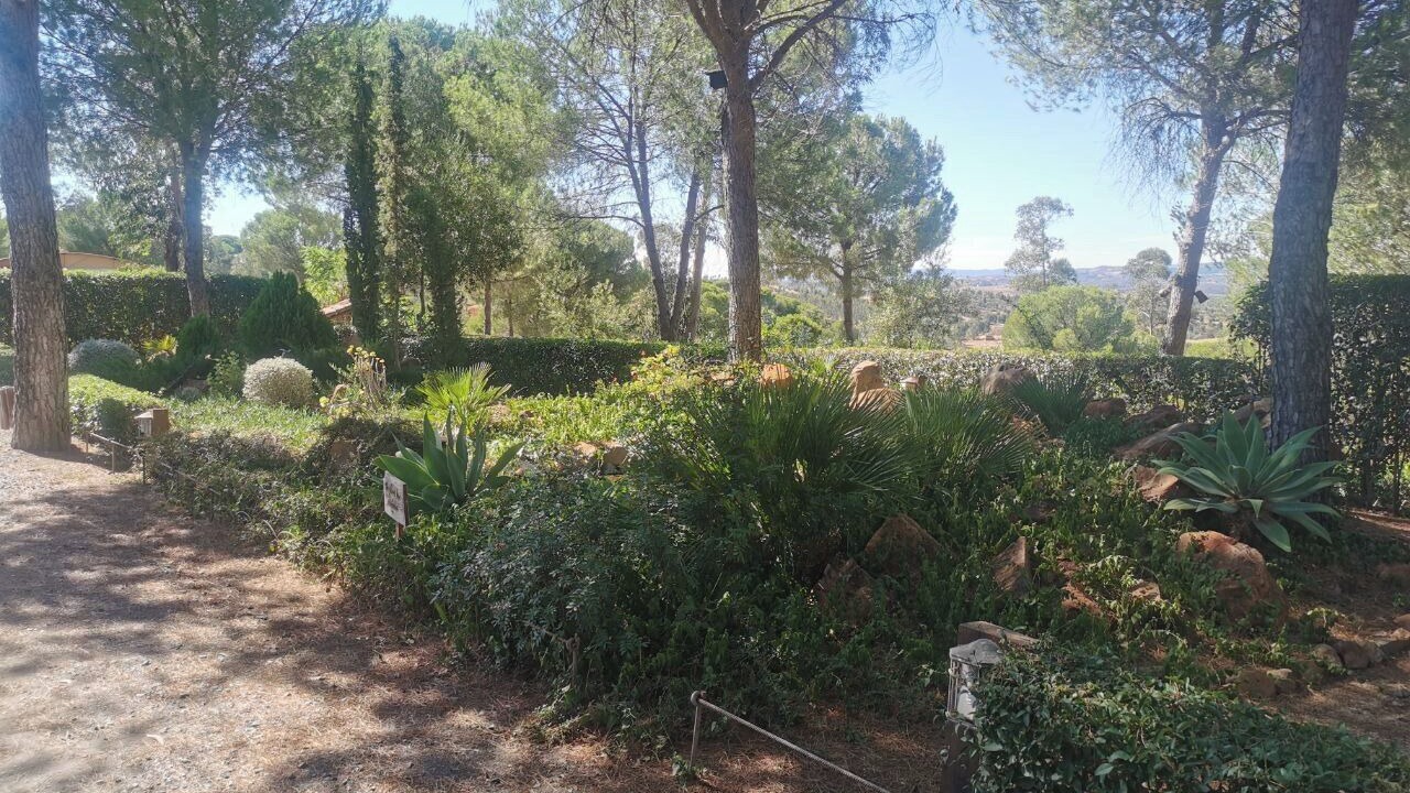 Photo of Outdoor in Calanas