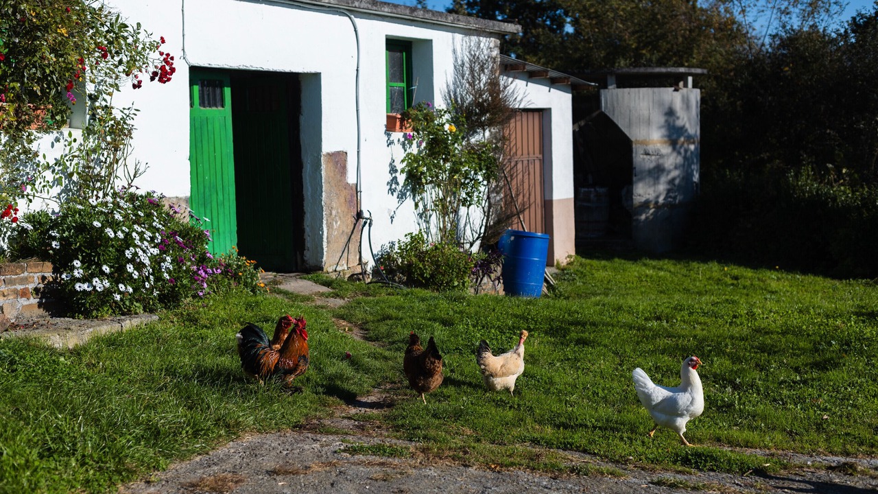 Photo of Outdoor in Valle de Carranza