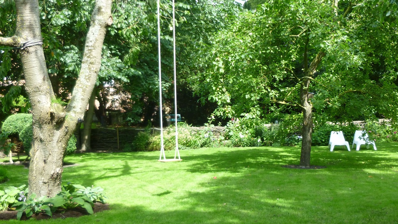 Photo of Outdoor in Eckwarden