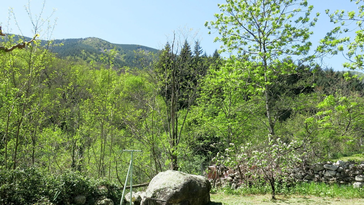 Photo of Others in Valgorge
