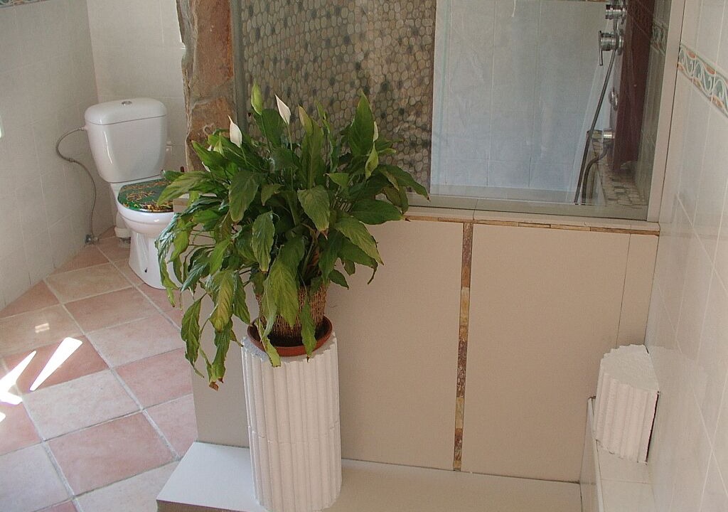 Photo of Bathroom in Capmany
