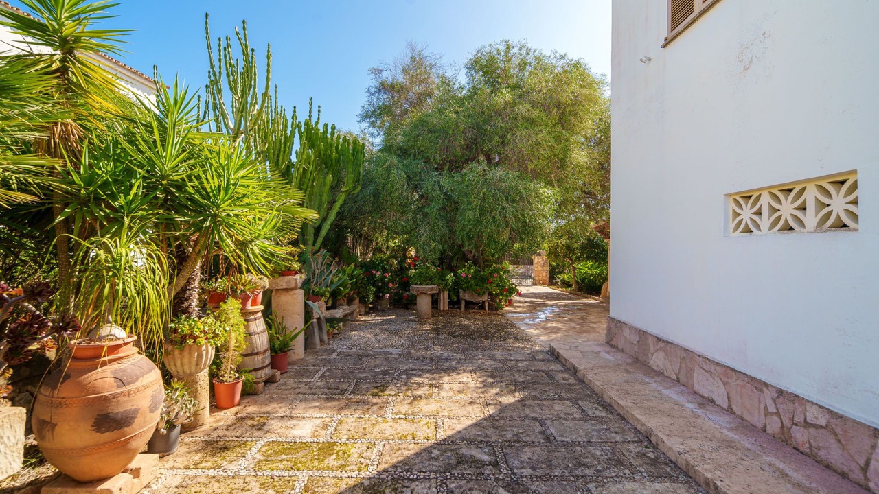 Photo of Others in Cala Murada