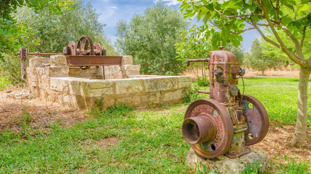 Photo of Others in Sa Pobla