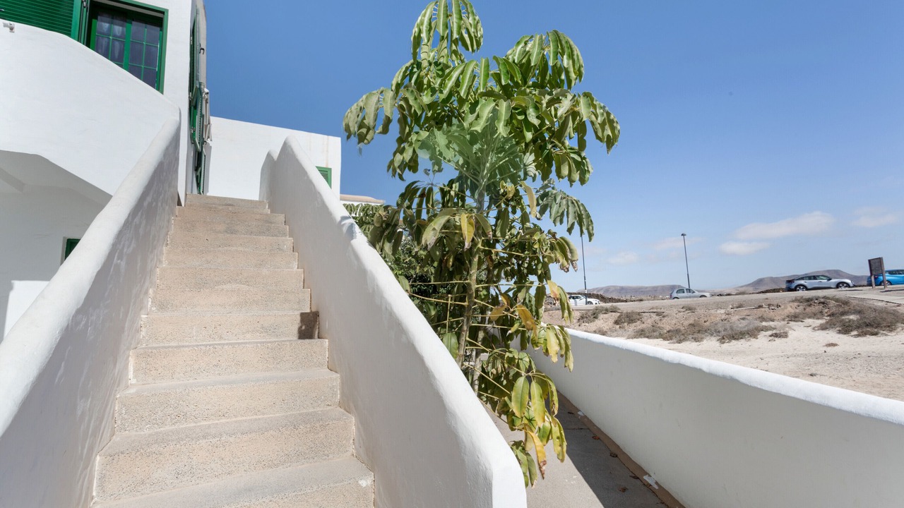 Photo of Outdoor in Los Lagos