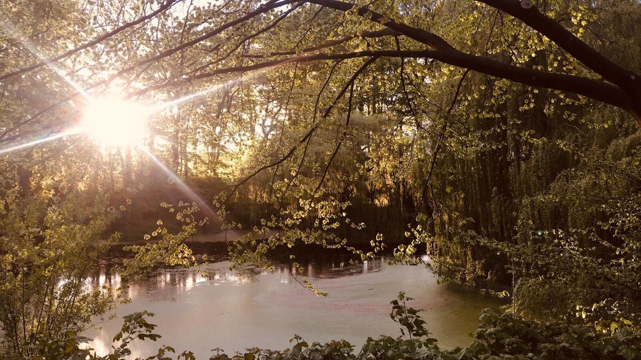 Photo of Outdoor in Schwabstedt