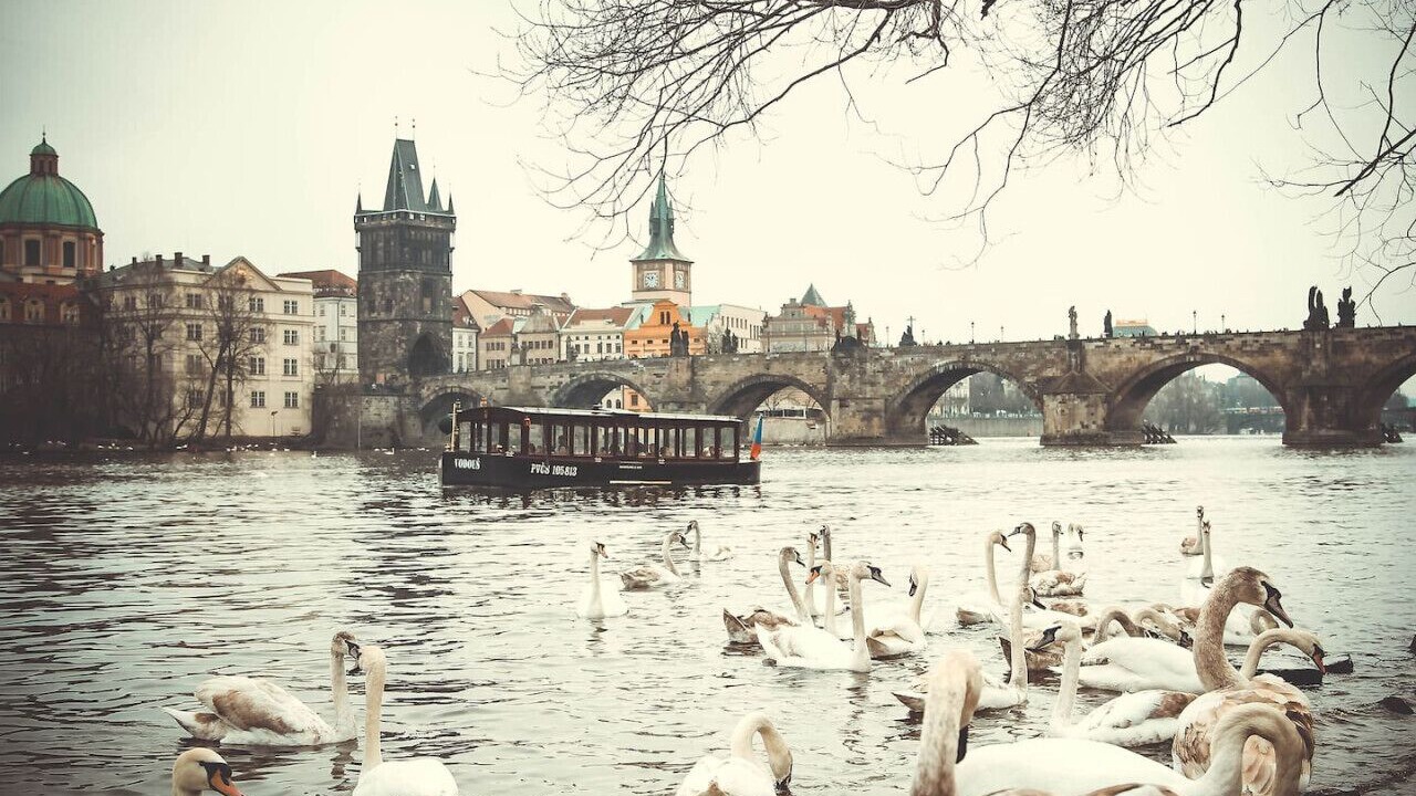 Photo of Others in Smichov