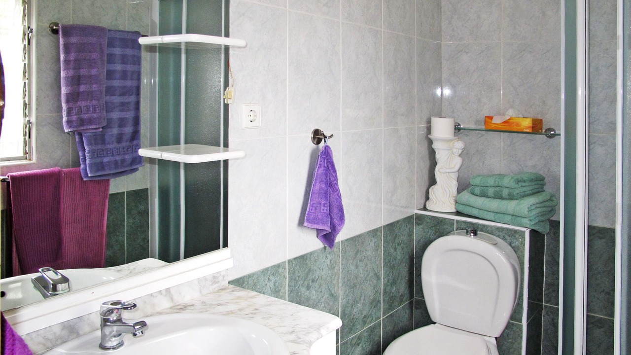 Photo of Bathroom in La Matanza de Acentejo