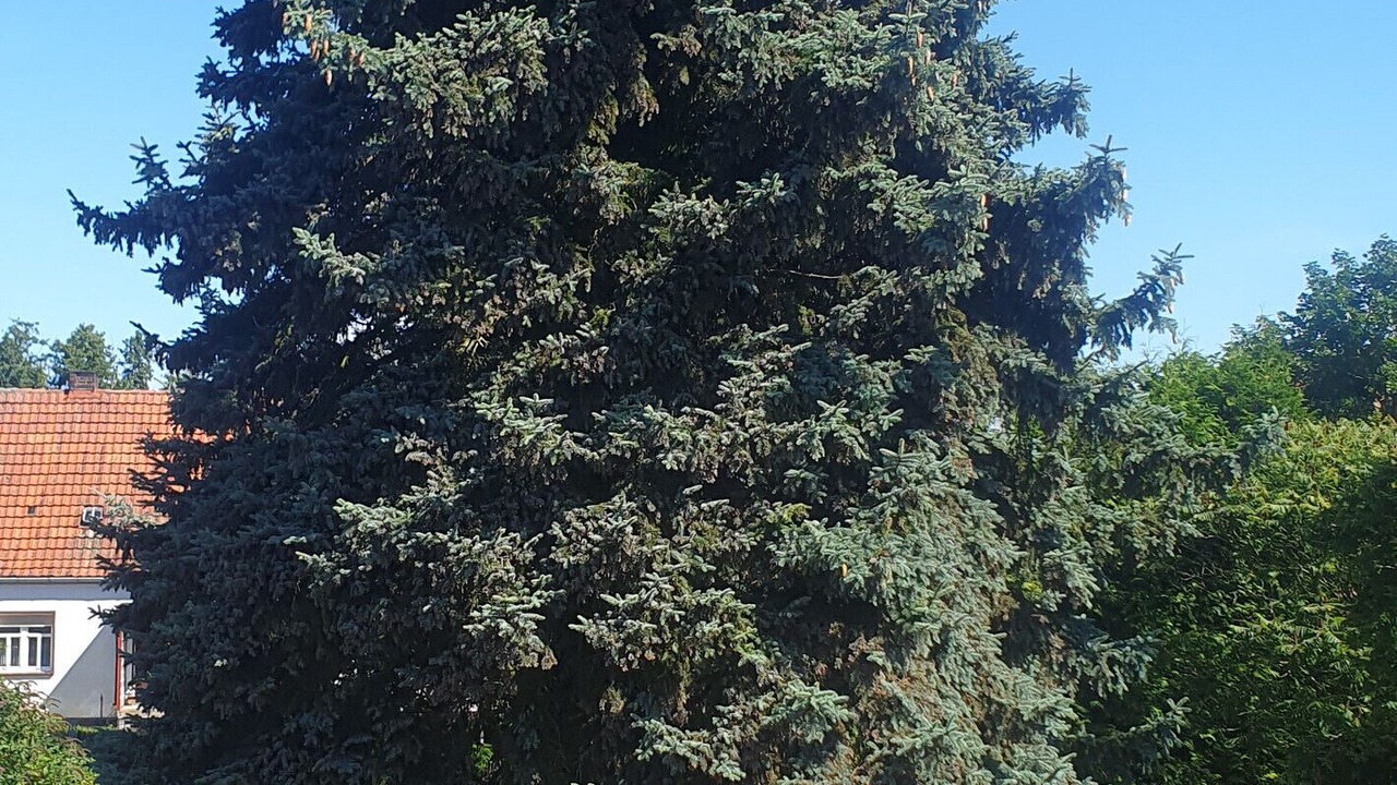 Photo of Outdoor in Jahrstedt