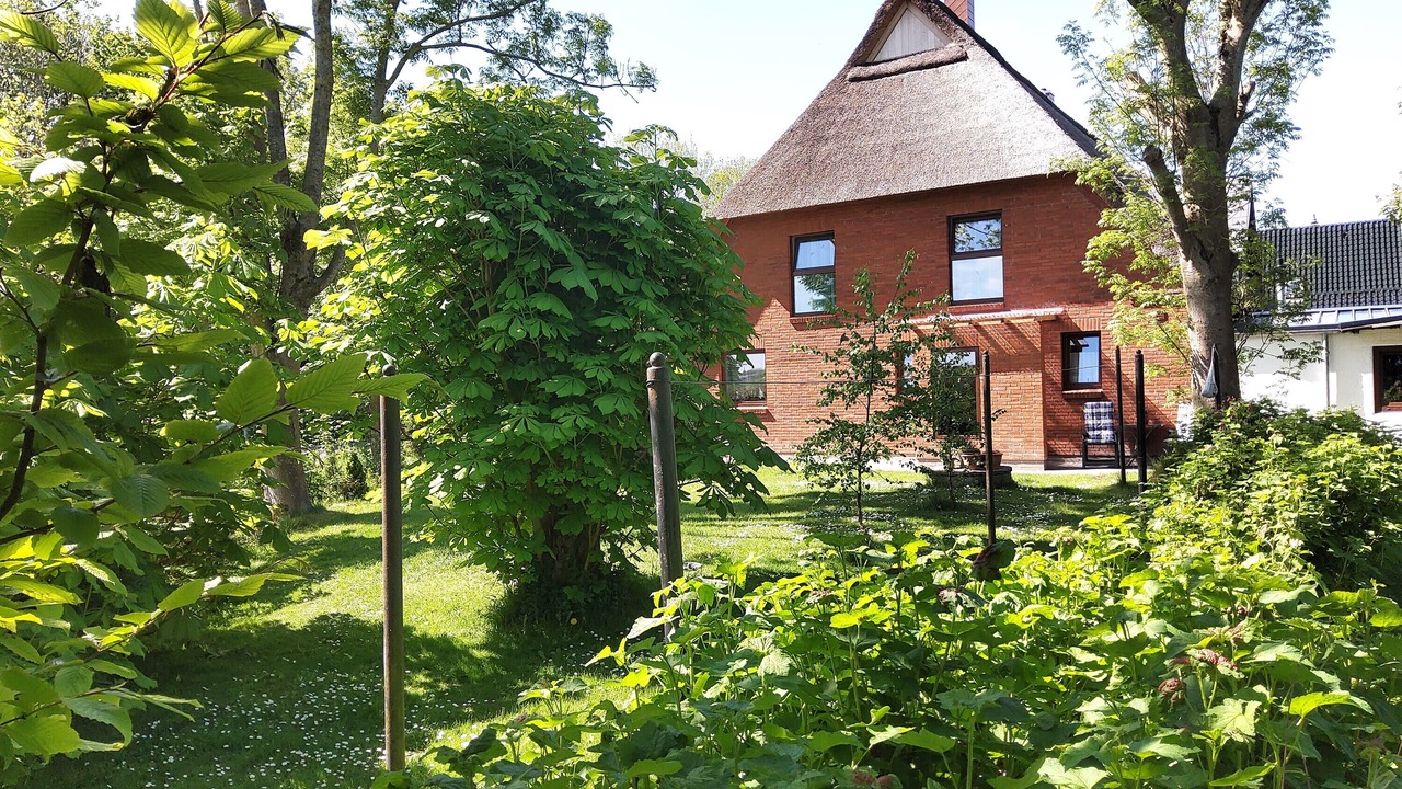 Photo of Outdoor in Wesselburener Deichhausen