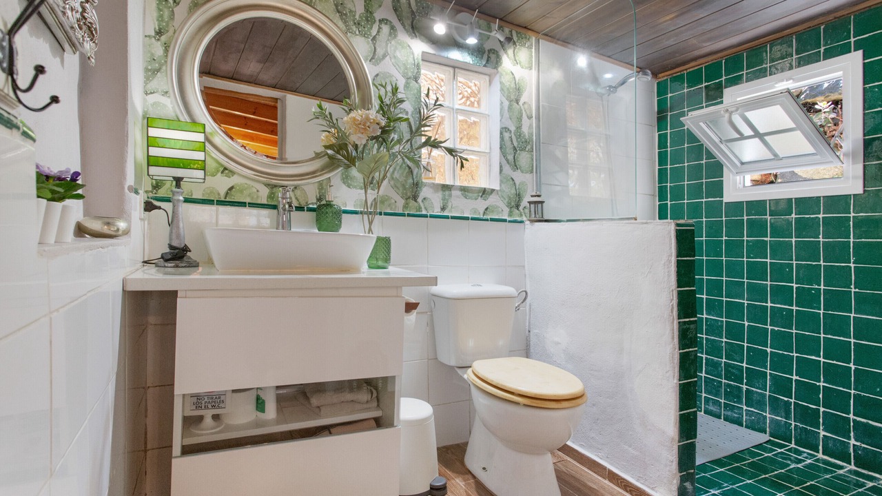 Photo of Bathroom in Icod de los Vinos