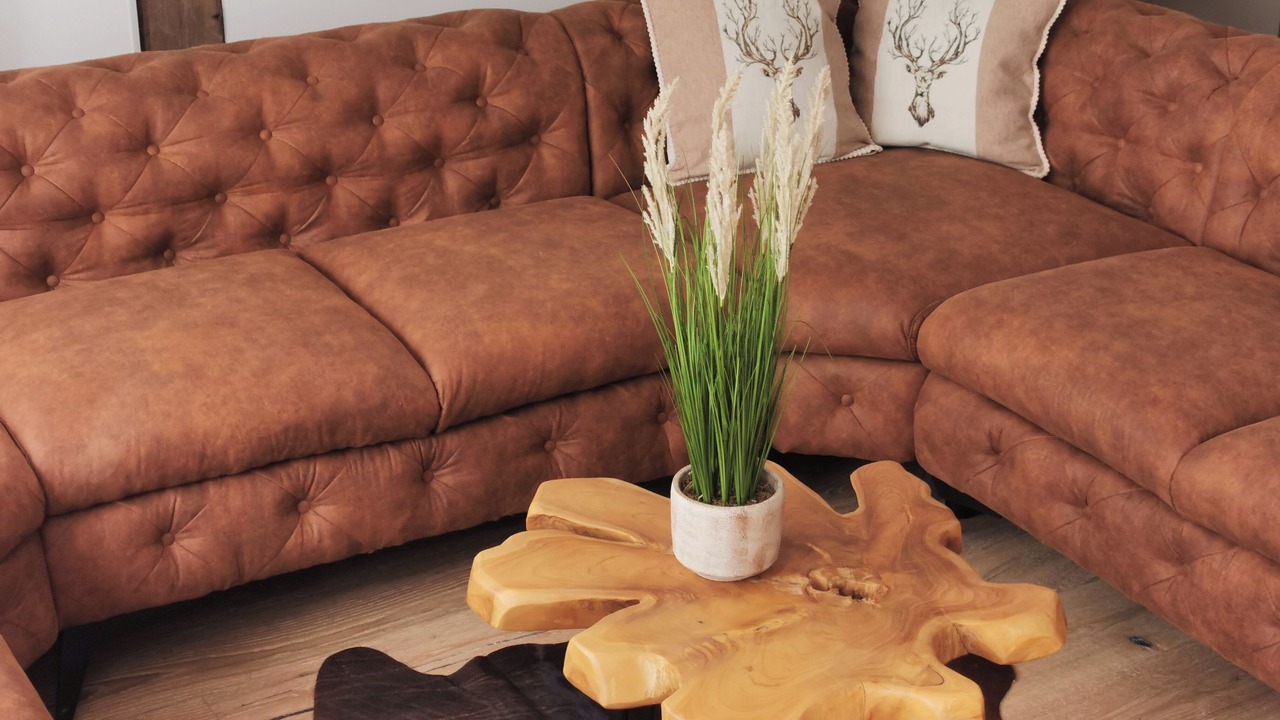 Photo of Livingroom in Erfurt Old Town