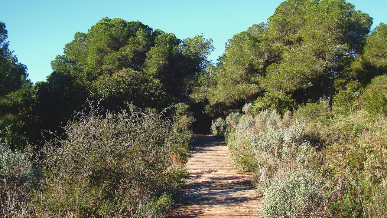 Photo of Outdoor in Pobles del Sud