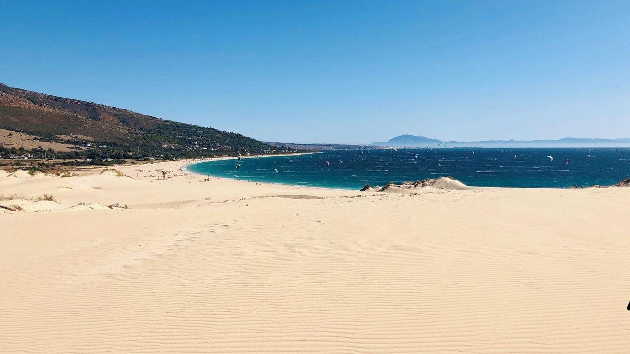 Photo of Others in Bolonia