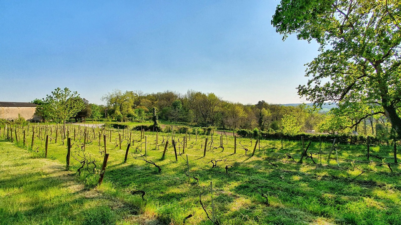 Photo of Outdoor in Auriac-du-Perigord
