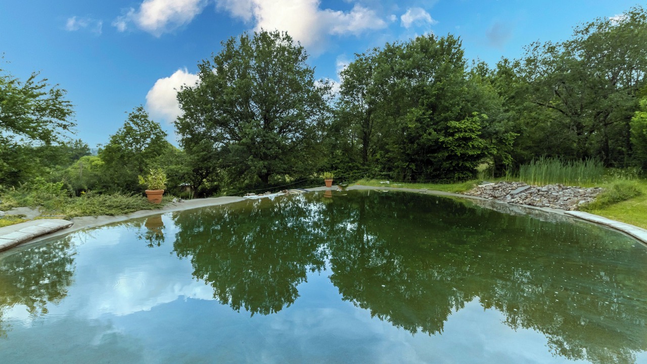 Photo of Outdoor in Auriac-du-Perigord