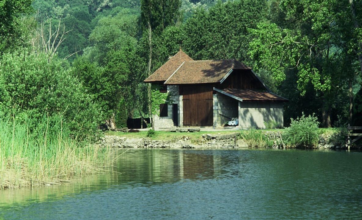 Photo of Outdoor in Ruffieux