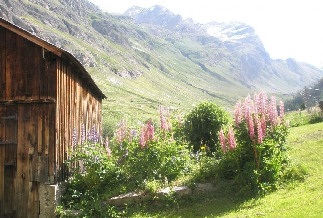 Photo of Outdoor in Le Fornet