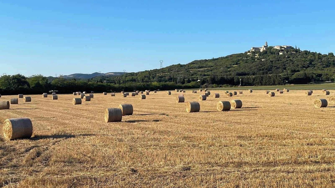 Photo of Outdoor in La Garde-Adhemar