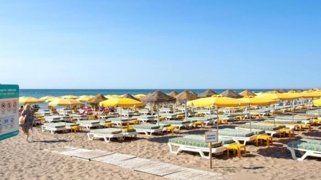 Photo of Others in Malaga