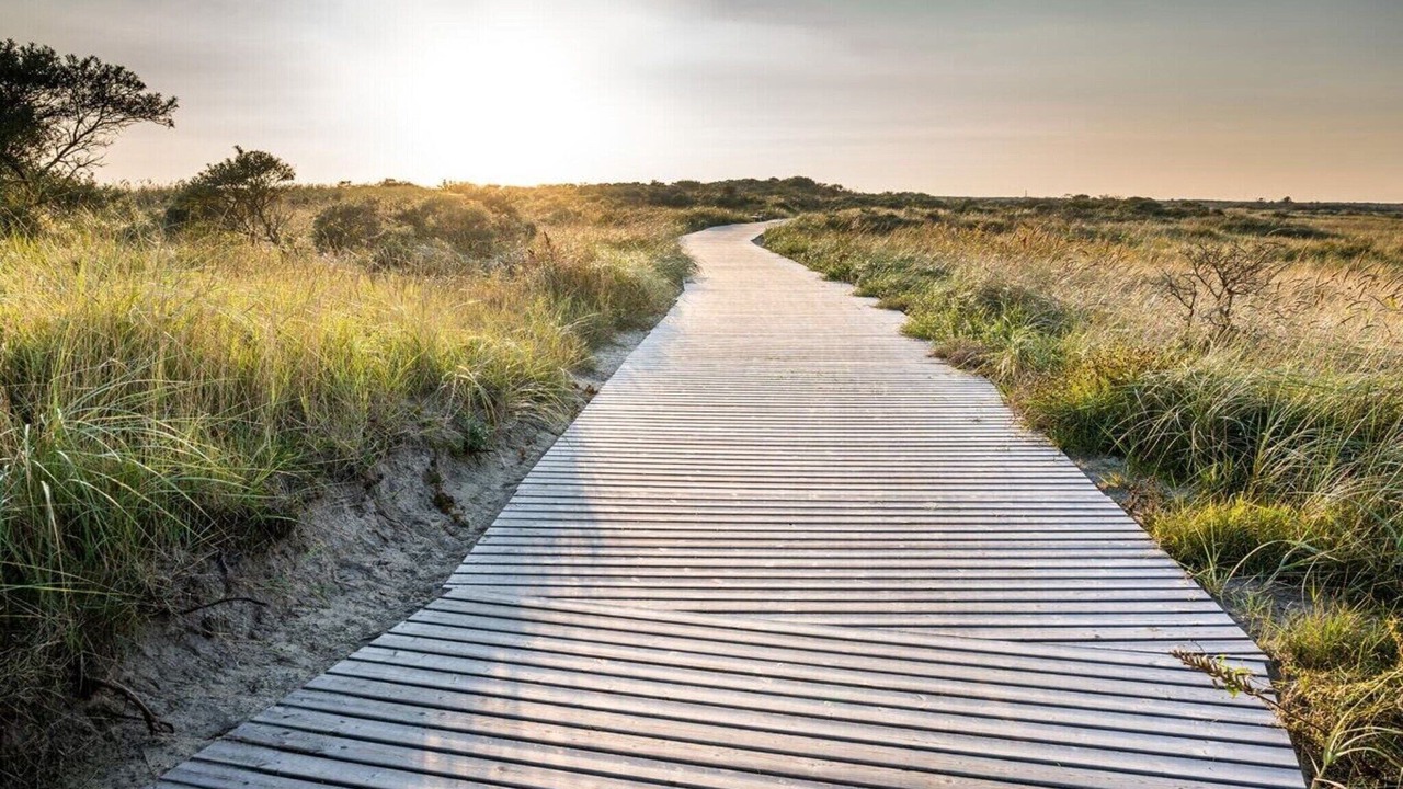 Photo of Others in Borkum