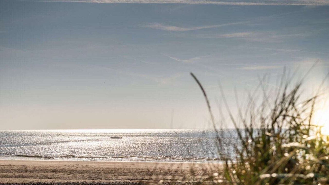 Photo of Others in Borkum