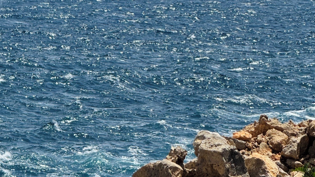 Photo of Others in Cala Pi