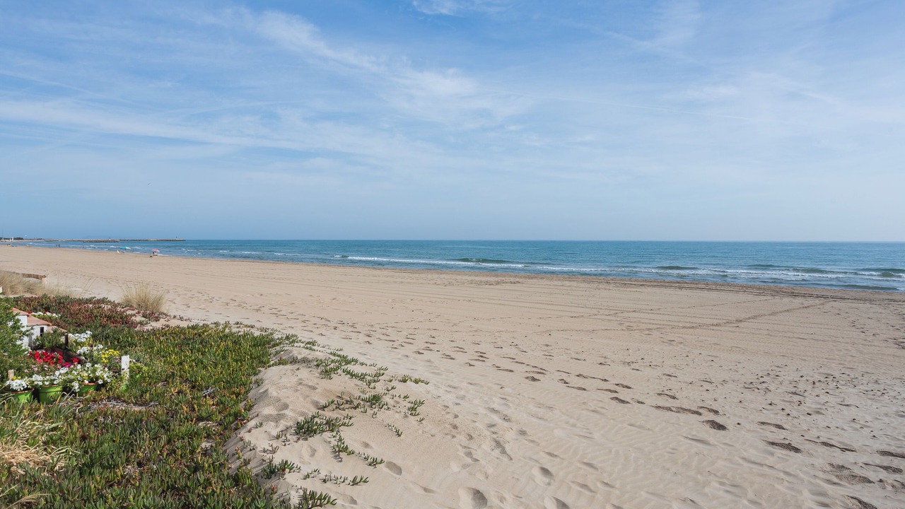 Photo of Others in Oliva