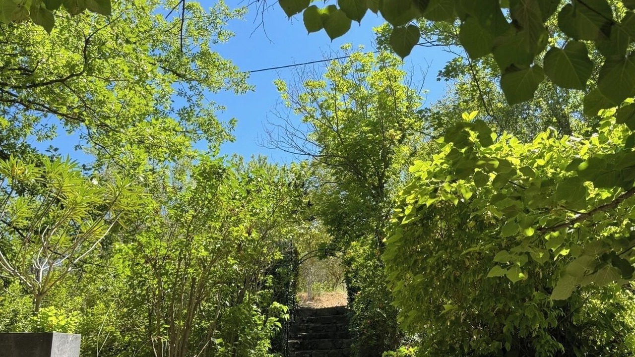Photo of Outdoor in Est
