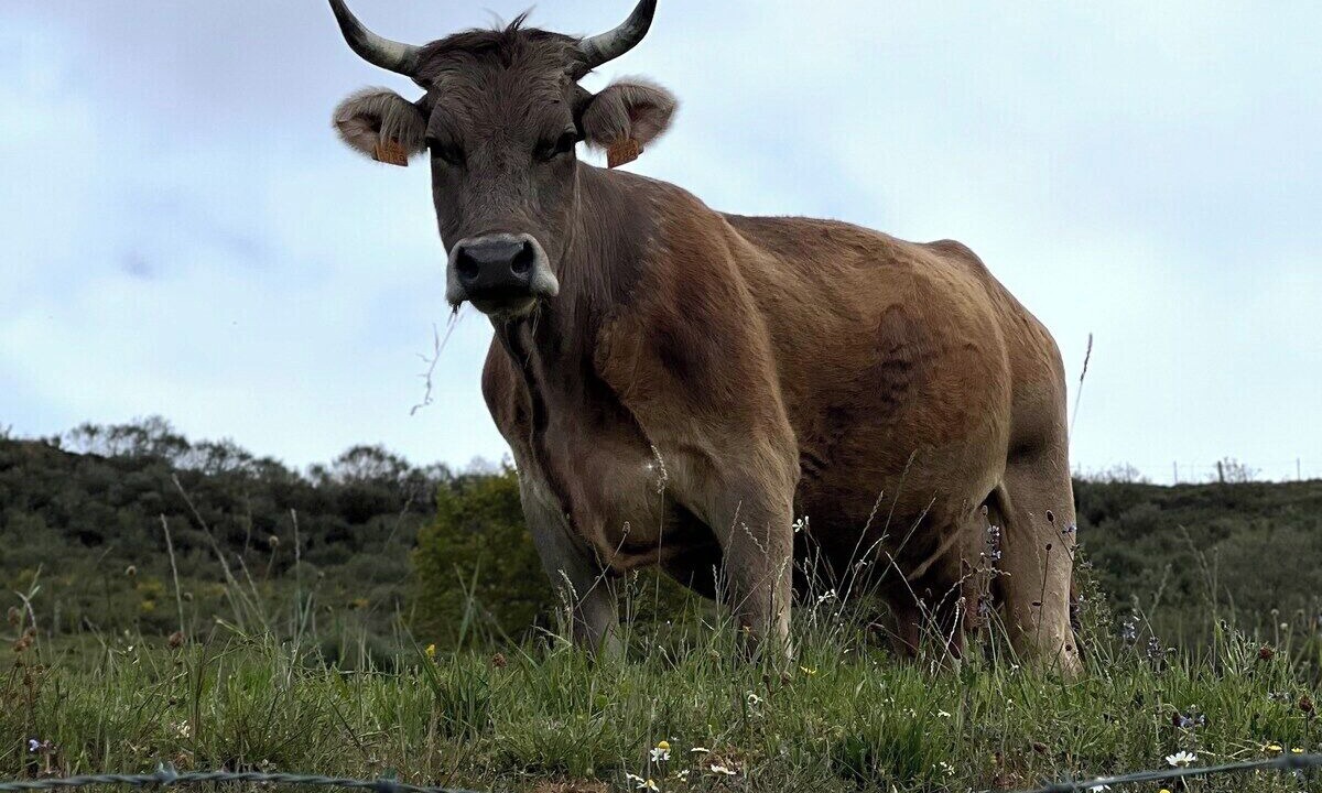 Photo of Others in Cahecho