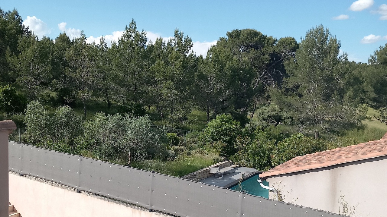 Photo of Outdoor in Santa Cruz