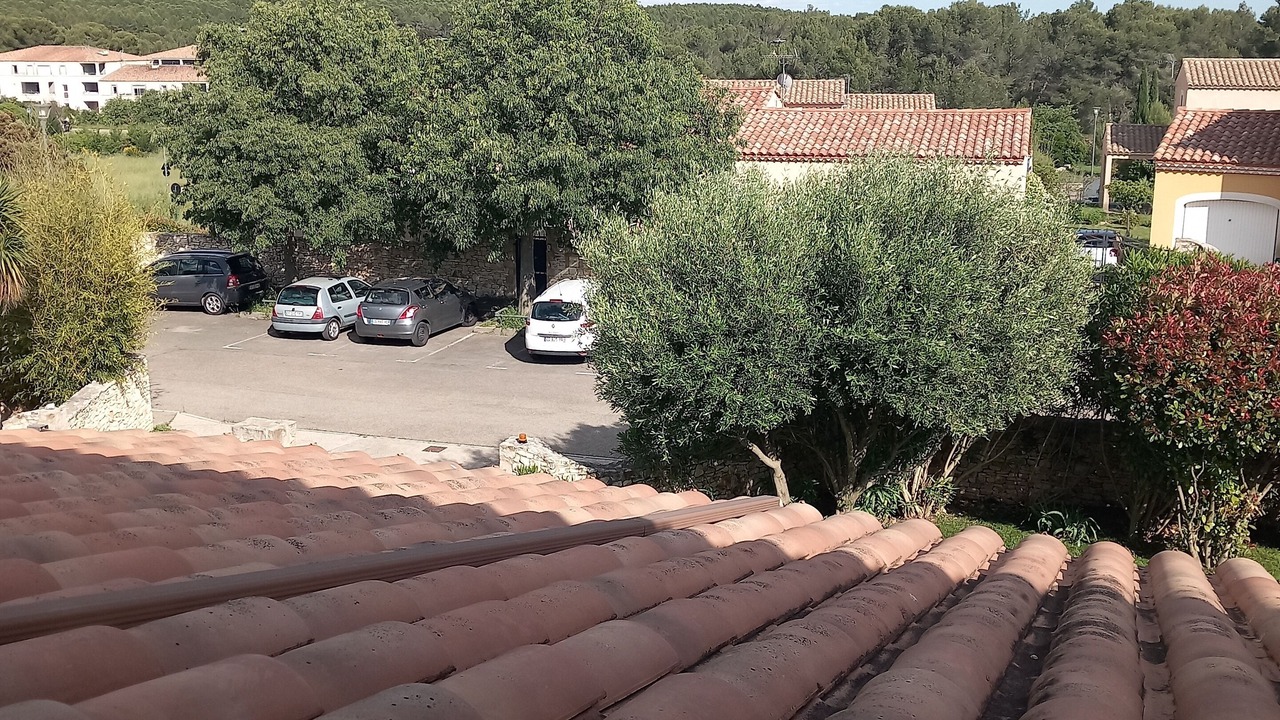Photo of Outdoor in Santa Cruz
