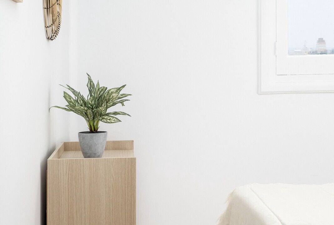 Photo of Bedroom in Ensanche Centro