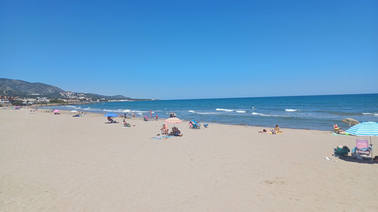 Photo of Others in Alcossebre
