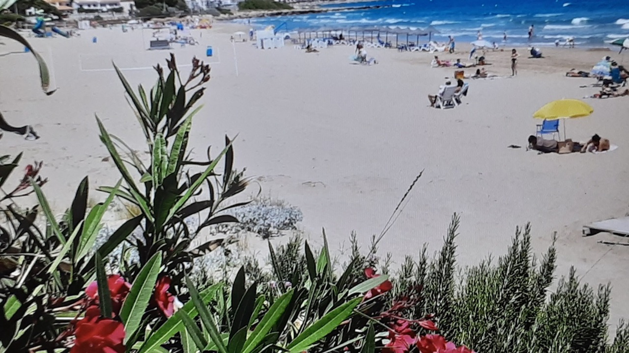 Photo of Others in Alcossebre