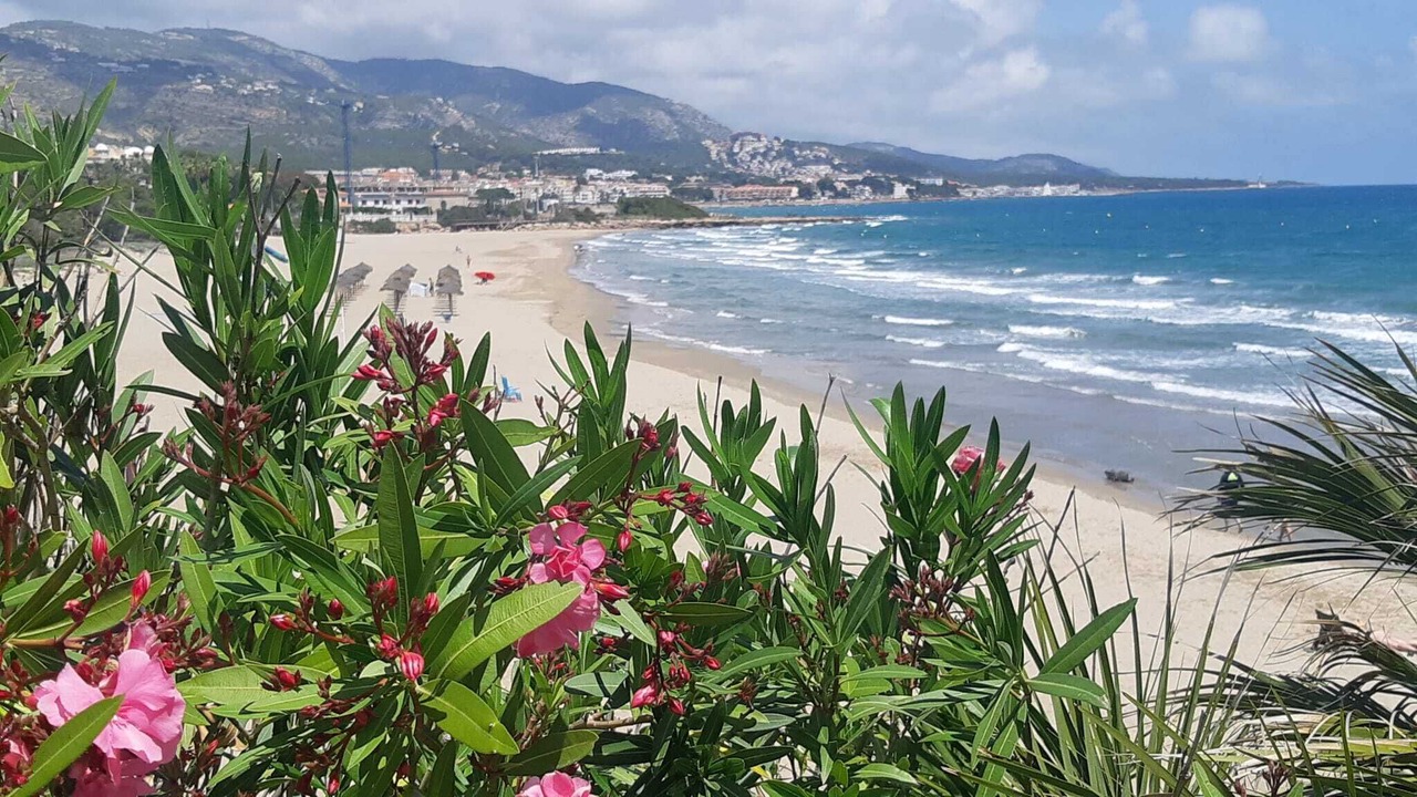 Photo of Others in Alcossebre