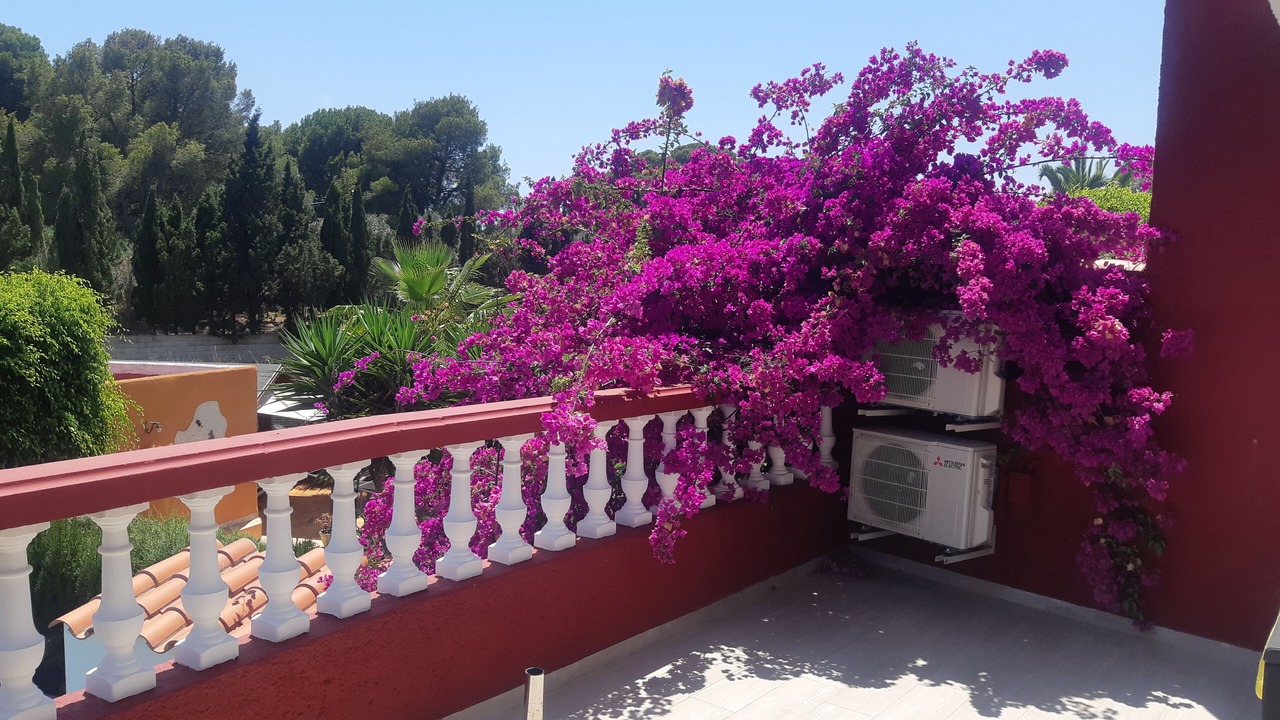 Photo of Outdoor in Alcossebre