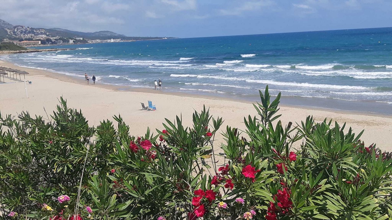 Photo of Others in Alcossebre