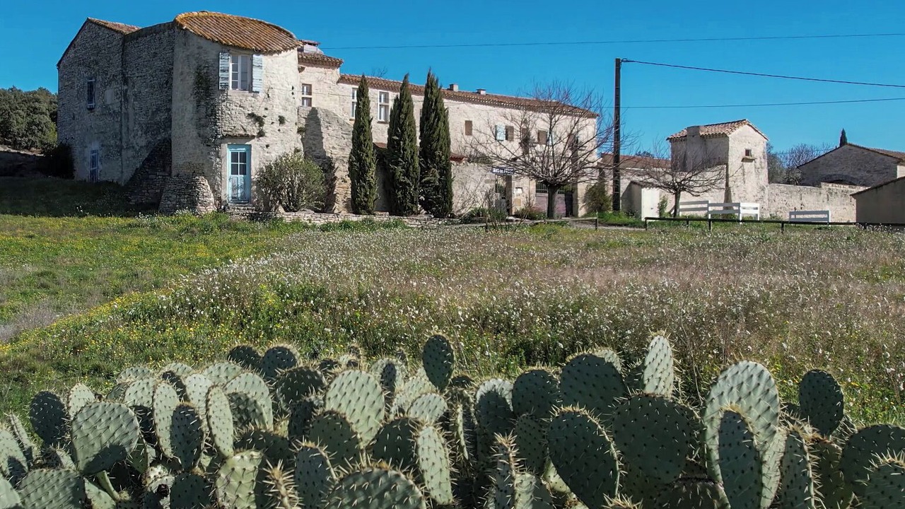 Photo of Outdoor in Garrigues