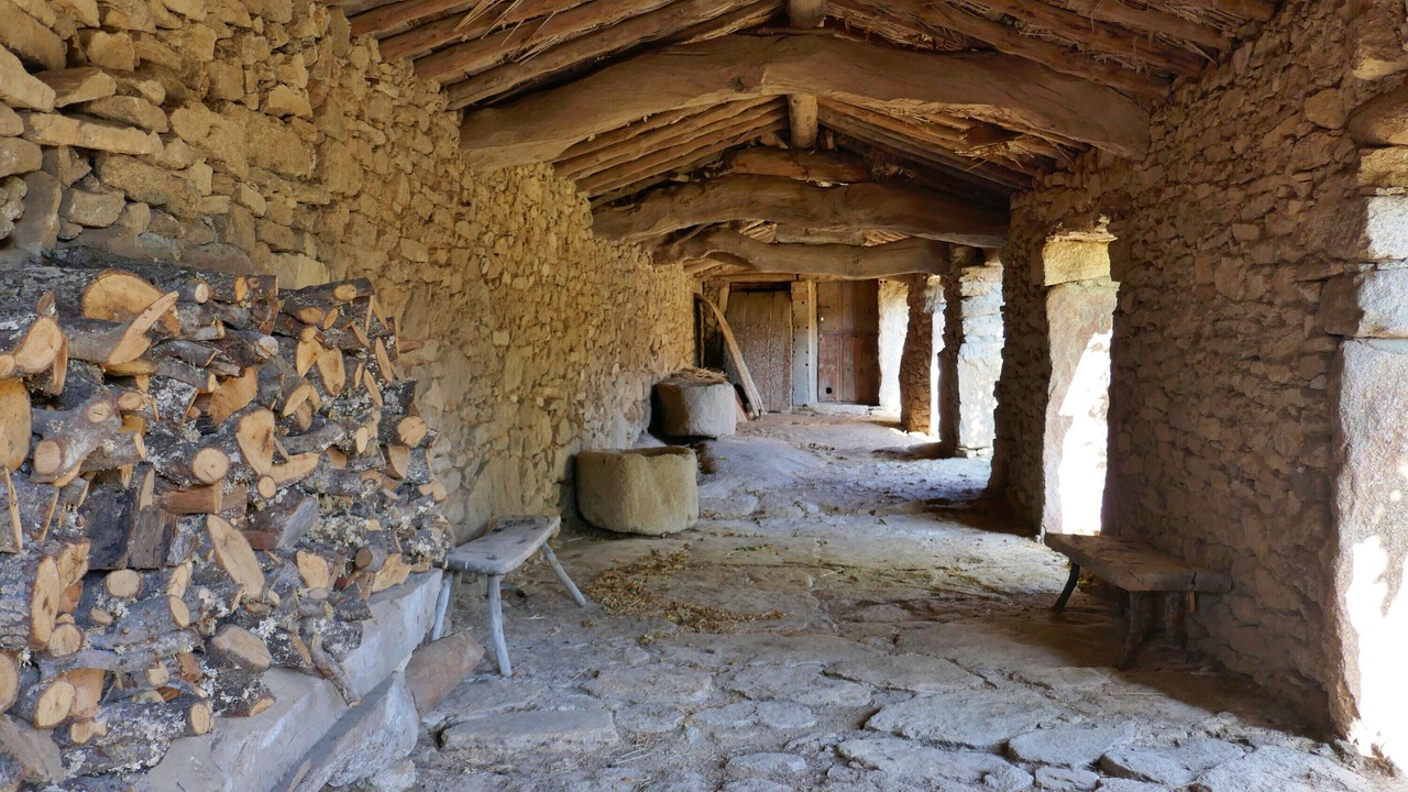 Photo of Others in Salce