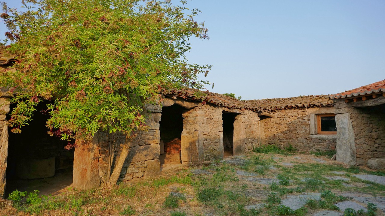 Photo of Others in Salce