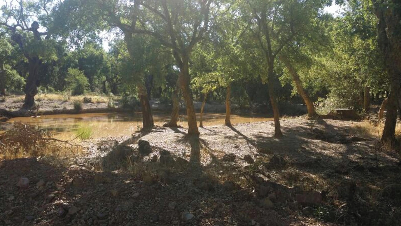 Photo of Others in Mirandilla