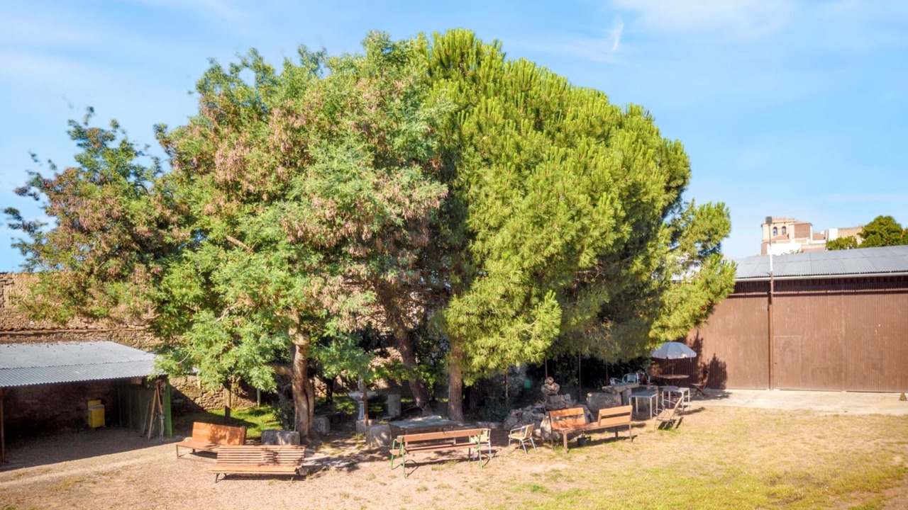 Photo of Outdoor in Vitigudino