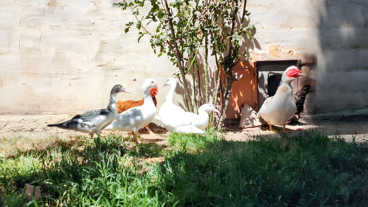 Photo of Outdoor in Vitigudino