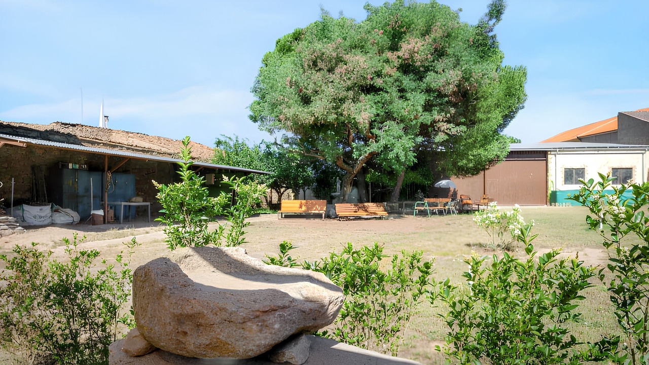 Photo of Outdoor in Vitigudino