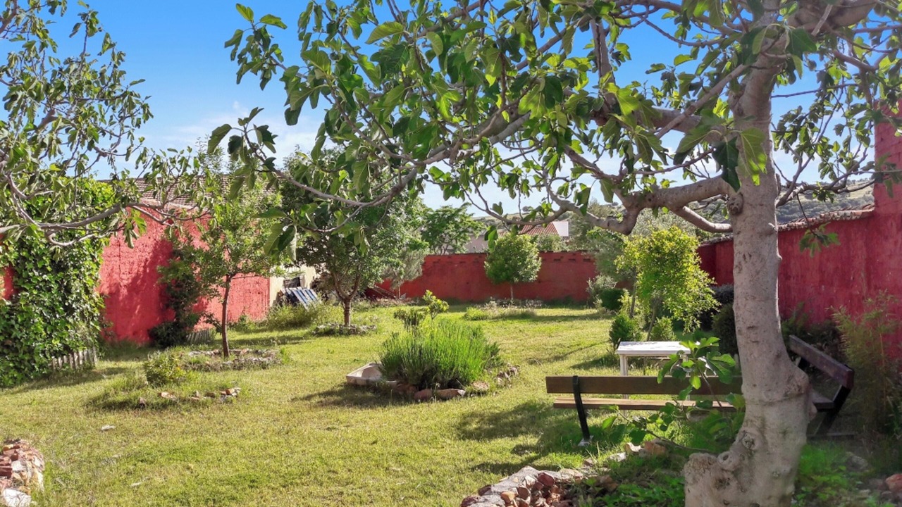 Photo of Outdoor in Picon
